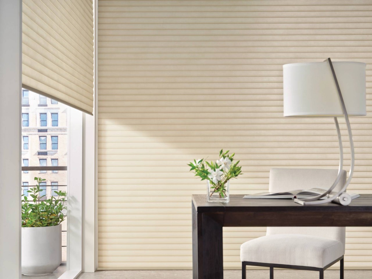 Hunter Douglas Sonnette® Roller Shades near La Quinta, California (CA)